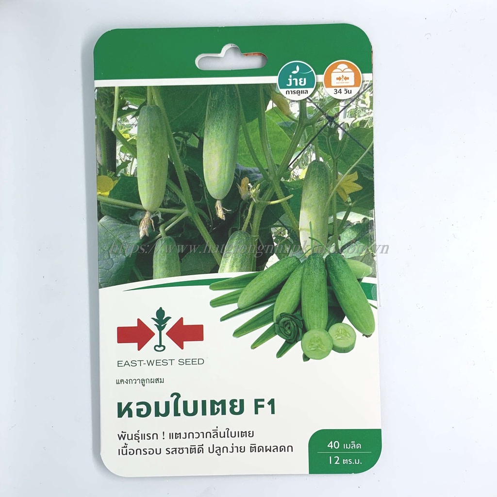 Hạt giống dưa chuột nếp hai mũi tên f1 Thái Lan. 40 hạt/gói. Hàng nhập Thái Lan. Tặng 1 gói với đơn hàng 8 gói.