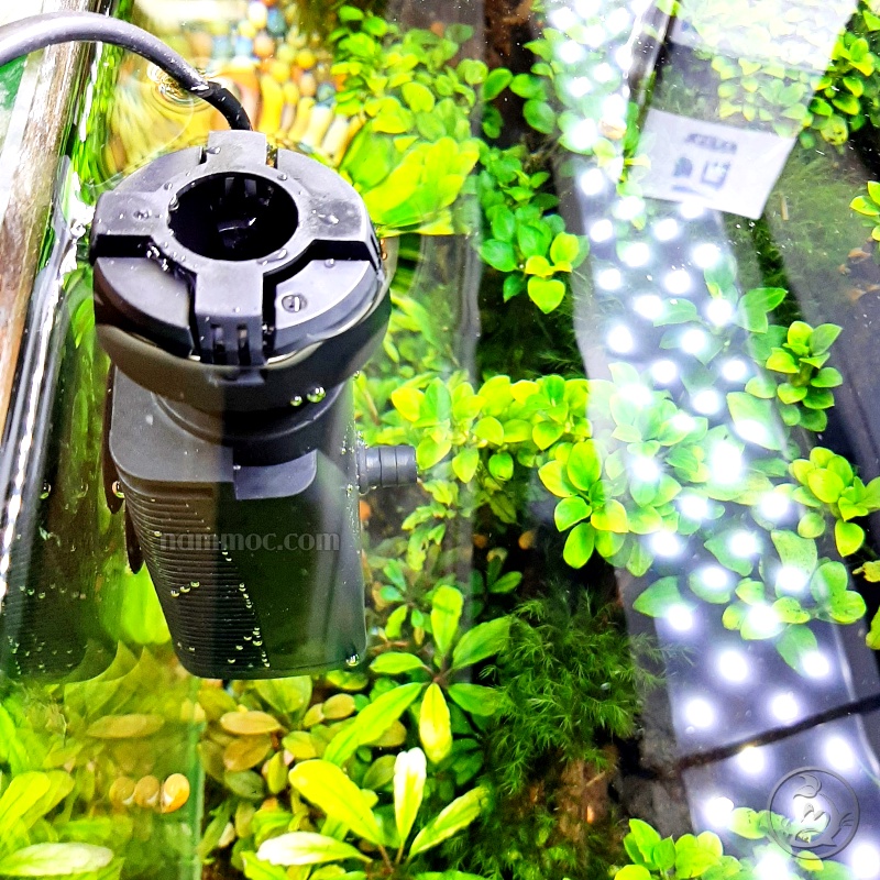 Lọc Váng Mini OIL FREE FILTER  || Lọc Váng Nhỏ Gọn - Hiệu Quả - Tiết Kiệm Điện CHo Bể Cá Thuỷ Sinh