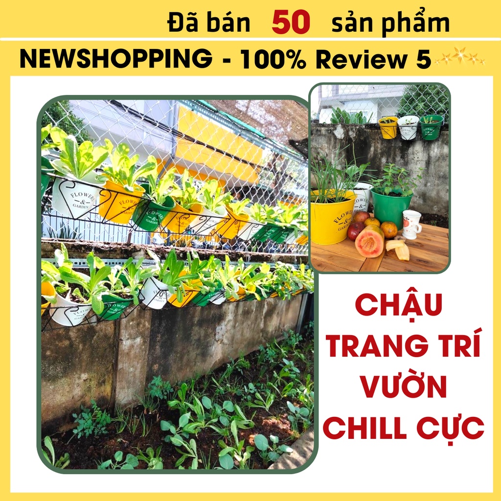 Chậu sắt trồng hoa, xô cắm hoa bằng thiếc decor phong cách Vintage