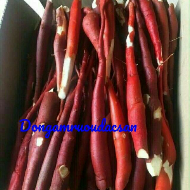 Sâm Cau Đỏ rừng xô [1kg] chuẩn cau đỏ rừng