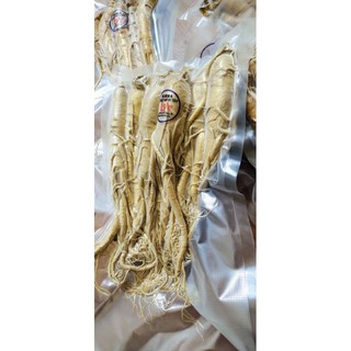 Nhân sâm tươi Hàn Quốc - (Loại 24 củ/1 kg) 1củ 129k  (NSHQ-002)