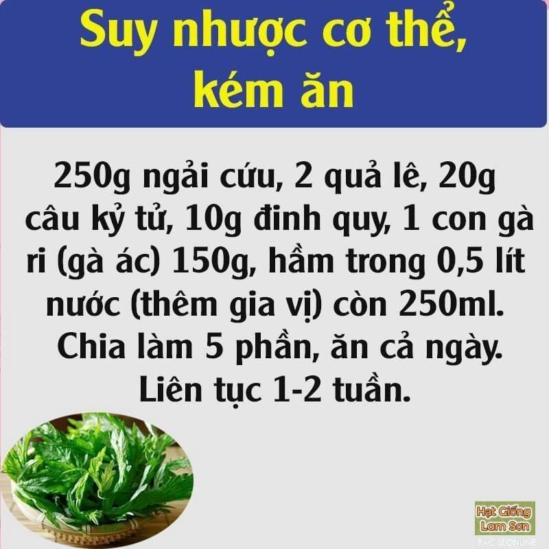 HẠT GIỐNG RAU NGẢI CỨU - Loại Rau Quý Hiếm, Làm Món Ăn Ngon, Dễ Trồng tại nhà.