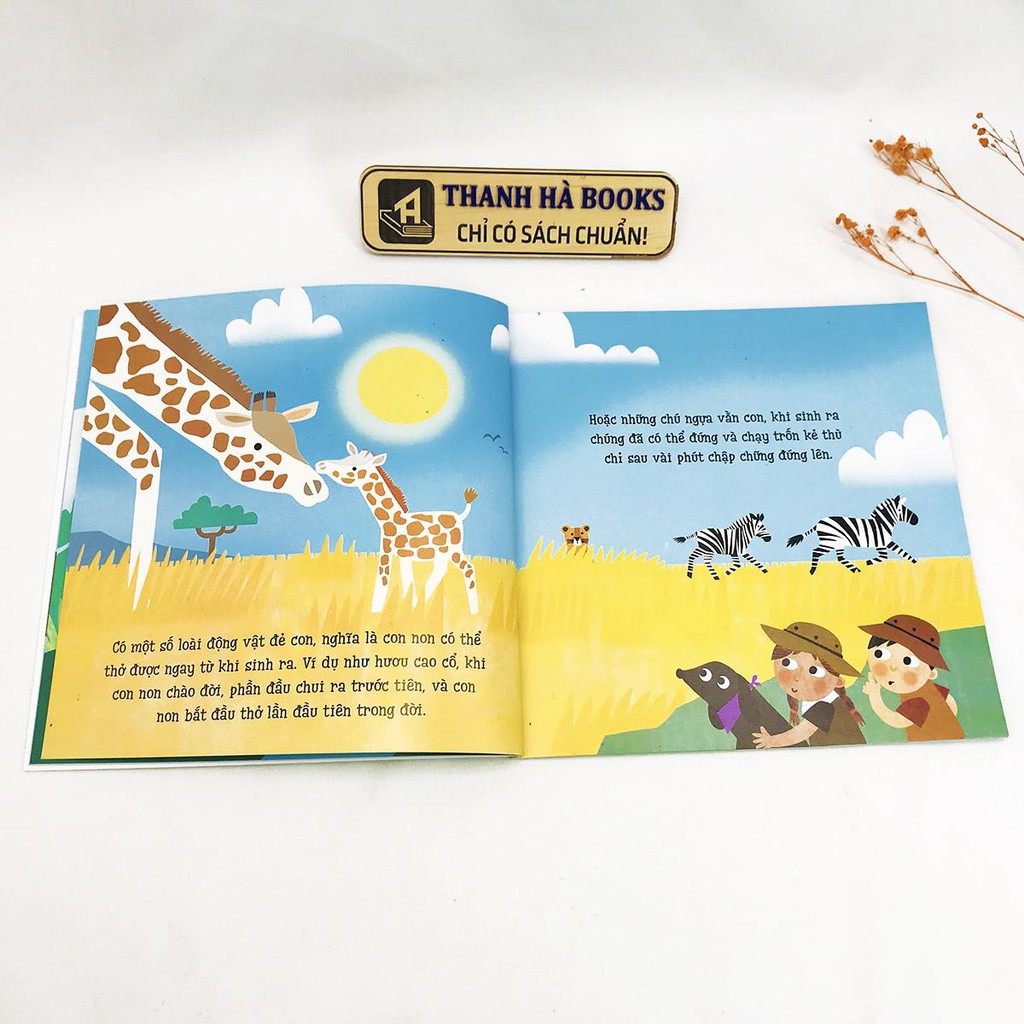 Sách - Bé Yêu Khám Phá 2 (Bộ 4 quyển, lẻ tùy chọn giúp bé khám phá thế giới muôn màu) (3+)