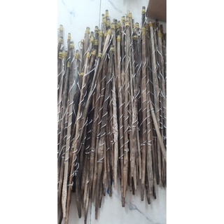 20 CẦN CẮM ẾCH TÓM SẴN