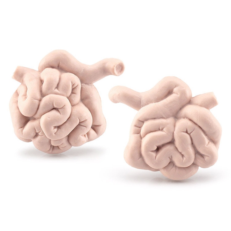 Mô Hình Cơ Thể Người Giáo Dục Khoa Học