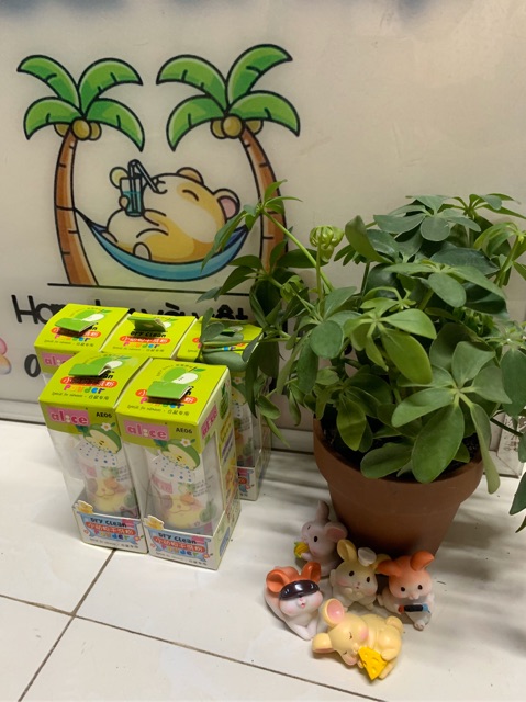 Phấn tắm khô ALICE 100ml | BigBuy360 - bigbuy360.vn