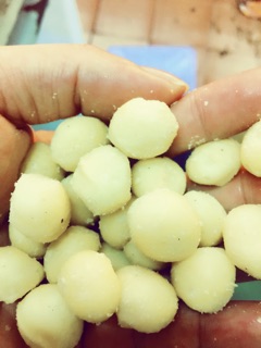 [FREESHIP 99K - NHẬP GROTHANG10 GIẢM 10%] Macadamia nut