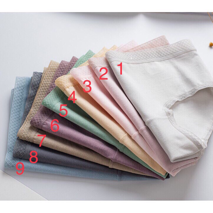 Quần lót nữ cotton Cạp Ren Lưới Cao Cấp kháng khuẩn dễ thương KIMCHIBIKINI đồ chip trơn siêu đẹp Mềm Mát QL179