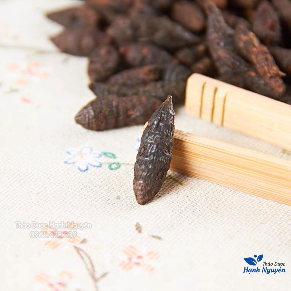 Hương phụ 1kg ( Cây cỏ gấu, củ gấu tàu) - Thảo Dược Hạnh Nguyên