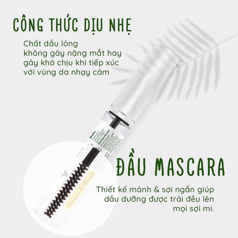 Dầu Dừa Dưỡng Dầy Mi 15ml