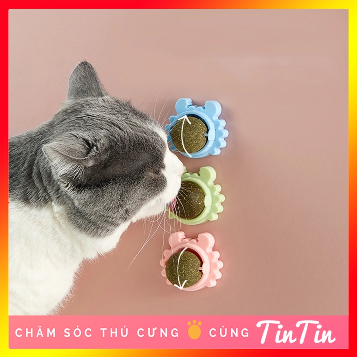 Đồ Chơi Cho Mèo Cỏ Mèo gắn tường Catnip Dạng Bóng Xoay Tròn