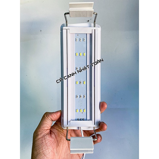 ĐÈN LED KẸP 2 BÊN BỂ CÁ 3 CHẾ ĐỘ MÀU CEBO COCO