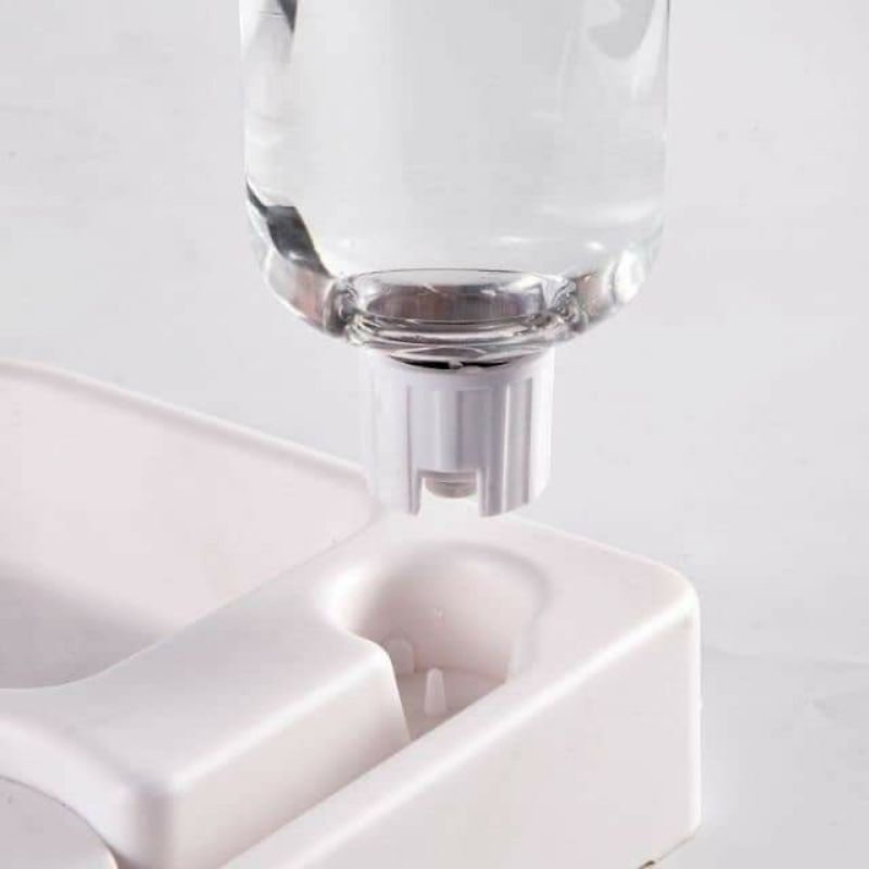 Bát ăn kèm bình tự động cho chó mèo hình tim (kèm bình tự động)