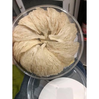 yến rút lông trắng