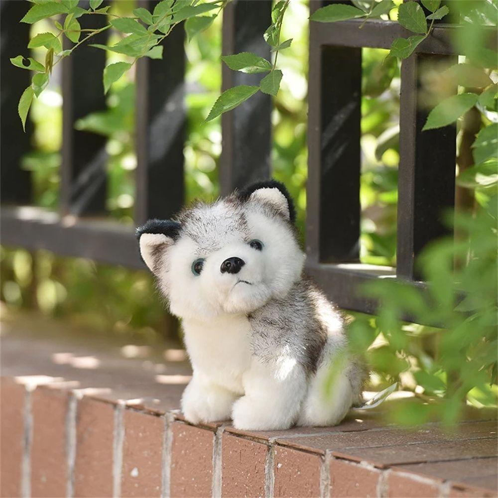 LILYES Chú Chó Husky Nhồi Bông Đáng Yêu 20 / 25 / 30cm