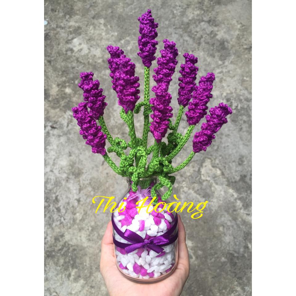 Chậu Hoa Lavender Len