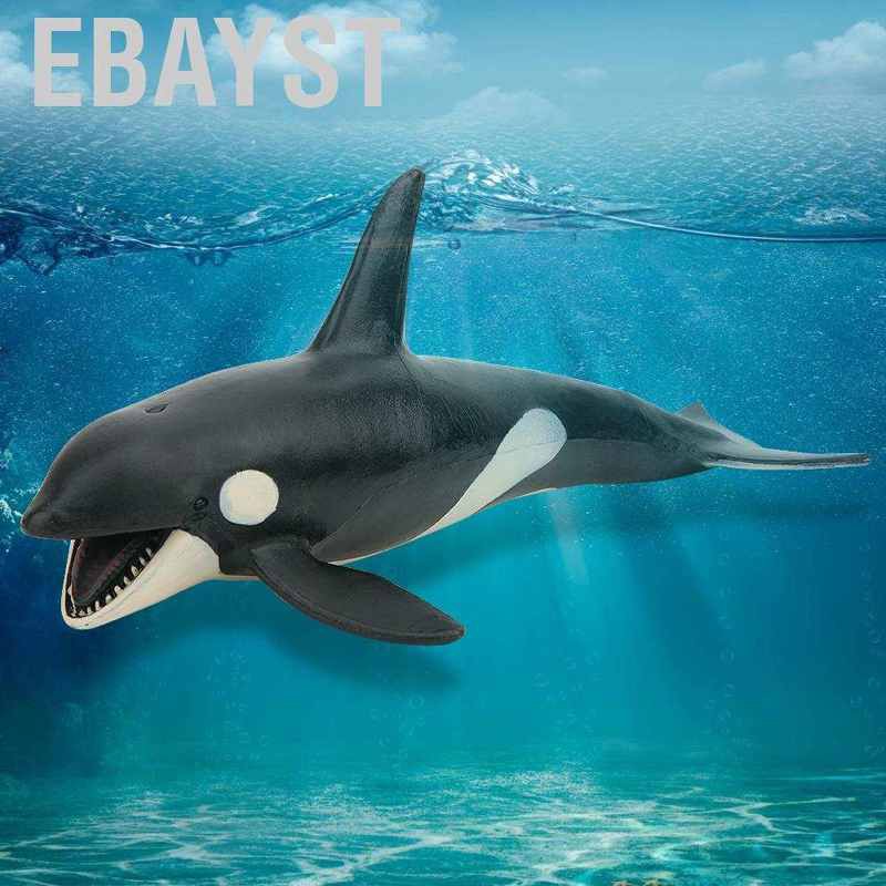 Bộ Mô Hình Cá Voi Sinh Động Làm Quà Tặng Cho Bé