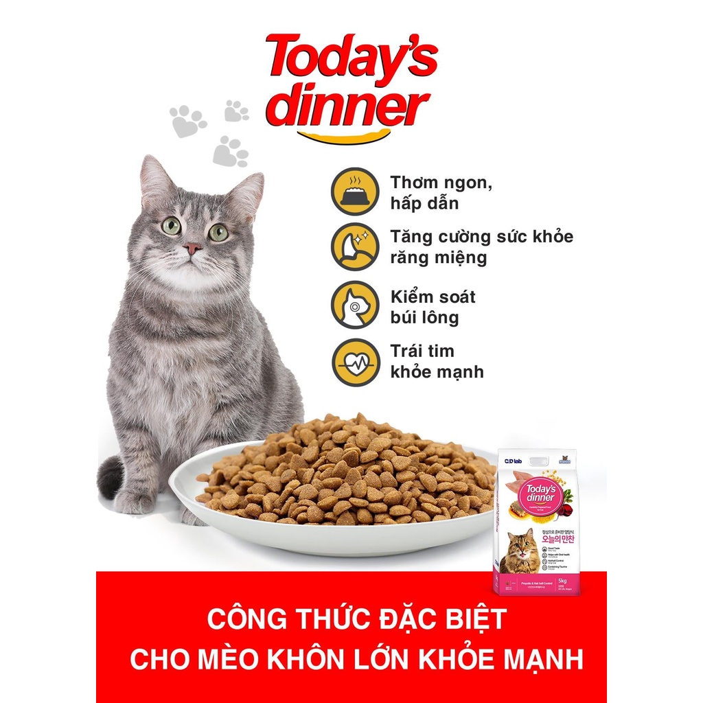 [Gói Dùng Thử] Thức ăn hạt cho mèo Today's Dinner