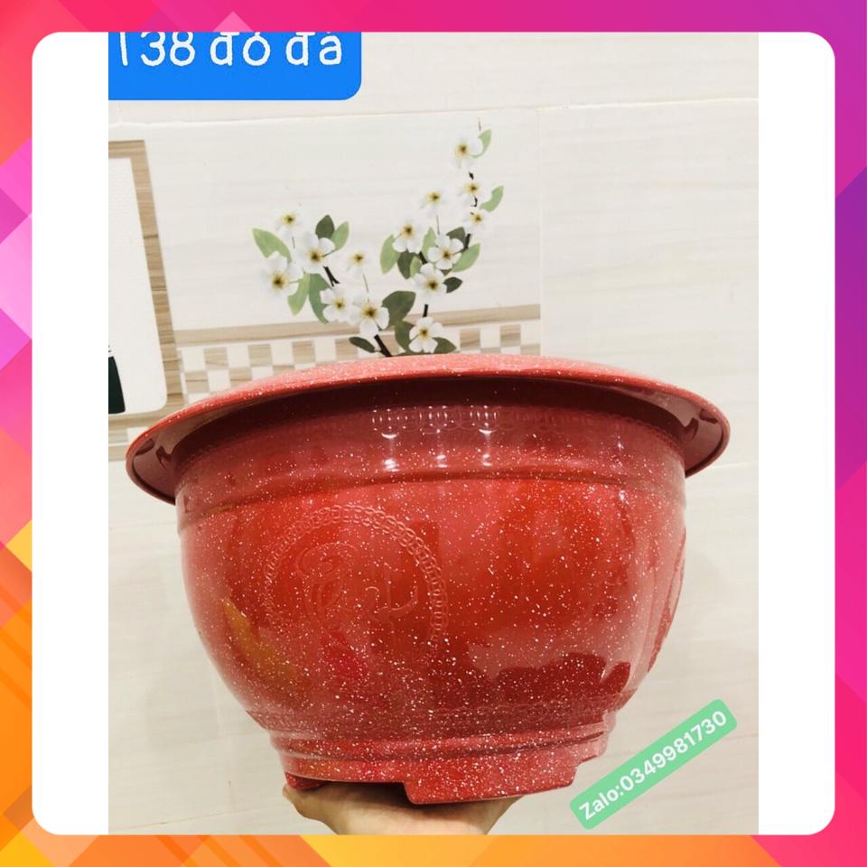 Chậu nhựa T38 đẹp - rẻ, 10 cái chỉ 129k