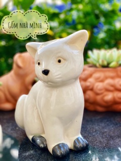 Mèo men trắng