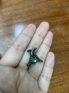 Combo 100 kẹp bướm cố định hoa lan