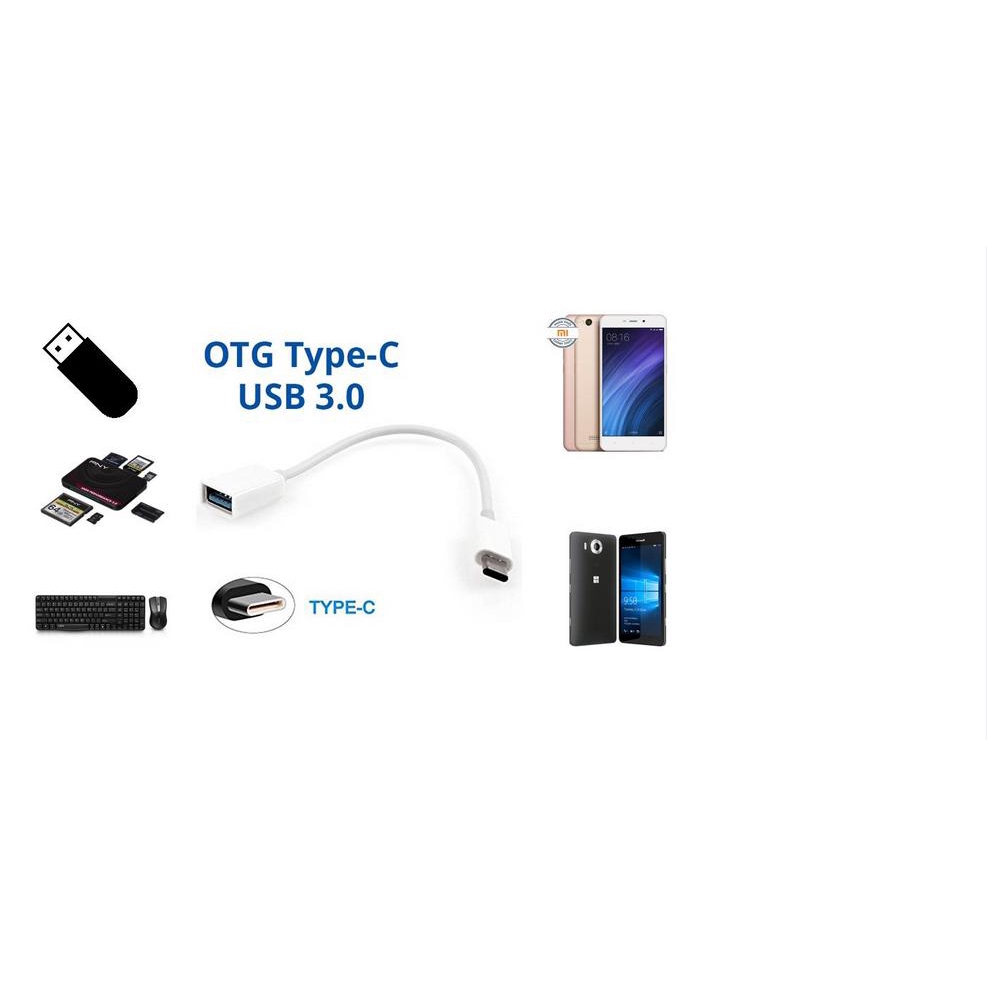 Cáp OTG USB Type C to USB 3.0 Futureworld (Trắng, Đen) | WebRaoVat - webraovat.net.vn