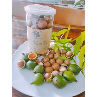 Hạt mắc ca ĐAKLAK sạch nhà trồng
