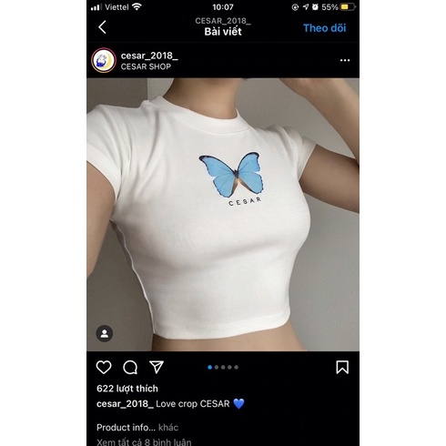 Áo croptop hình con bớm của cesar