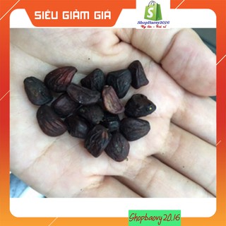 5 Hạt dổi nếp rừng (dùng thử)