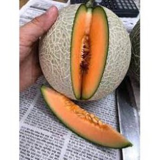 Hạt giống Dưa lưới F1 (Ruột cam, Siêu ngọt)