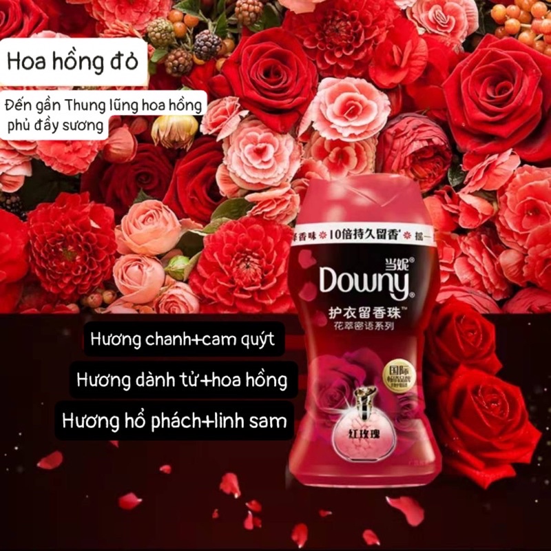 (THƠM NGẤT NGAY)Viên xả Downy cô đặc hương hoa thơm mát chính hãng