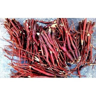 Sâm cau đỏ Tủa Chùa 1kg tươi, khô