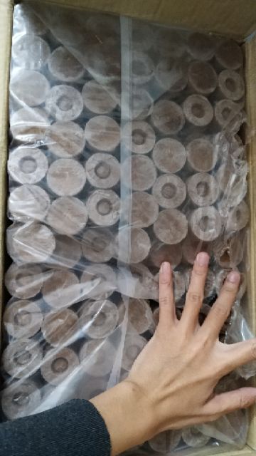 10 Viên Nén Ươm Hạt - Size to 60 mm