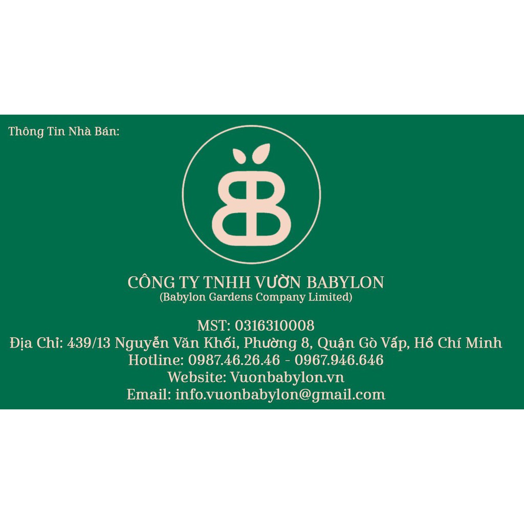 KHAY (CHẬU) TRỒNG RAU HÌNH CHỮ NHẬT 67X42X16H