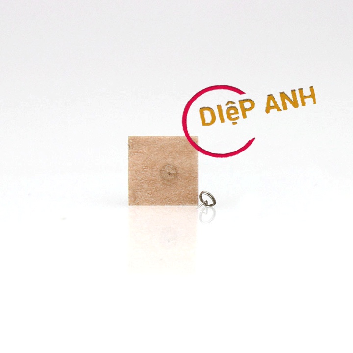 Kim nhĩ châm Lạc Á hộp 100 kim kích thước 0.25*1.3mm