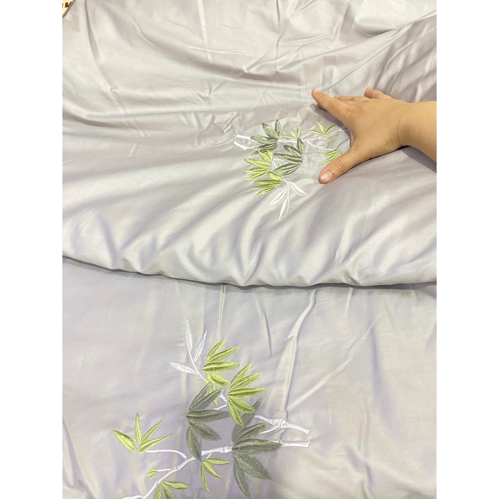 Bộ Drap chun chần EVERON MDSC084