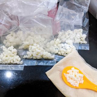 Nấm làm sữa chua kefir