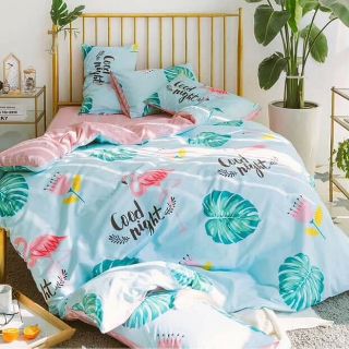 Combo Ga giường m6 và 2 vỏ gối