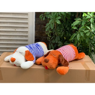 Chó mặt xệ tai dài mặc áo