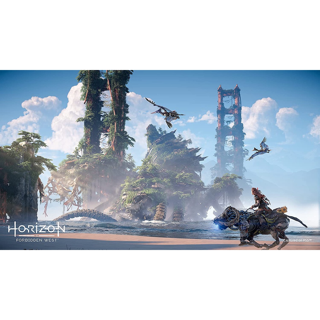 Đĩa game Horizon Forbidden West - PS5 / PS4