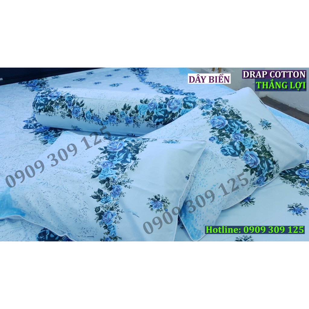 Bộ drap(4 món) cotton 100% Thắng lợi chính hãng, Dây biển( ảnh thật)