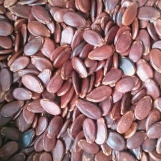 Combo 5kg hạt dưa loại đặc biệt
