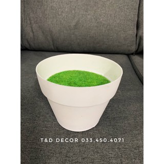 Chậu xốp cắm cây size bé