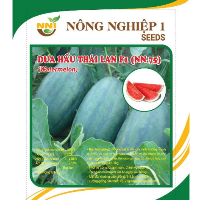 Hạt giống dưa hấu Thái Lan