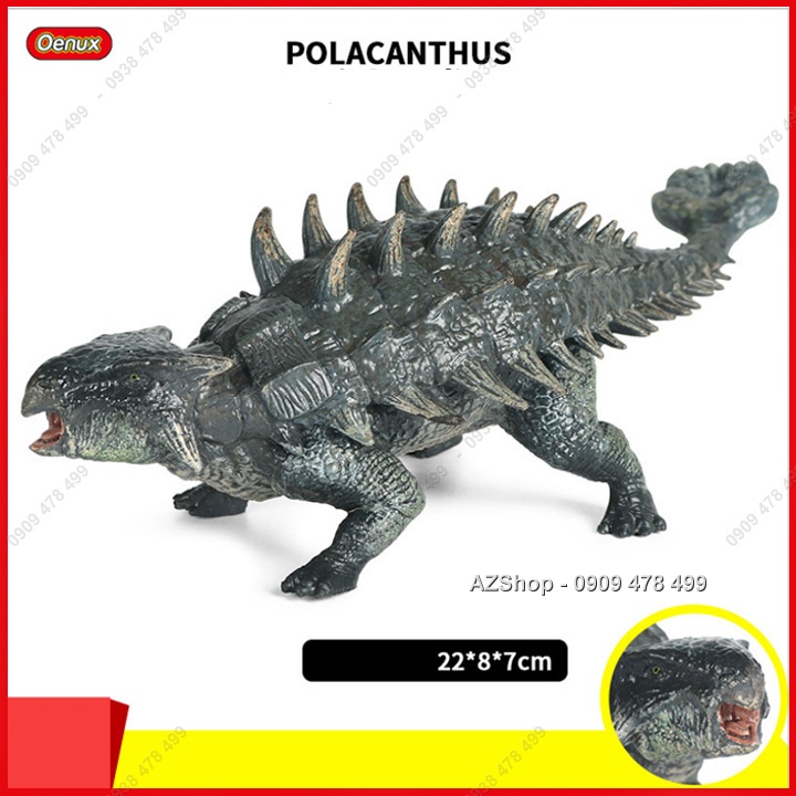 Mô Hình Khủng Long Đuôi Búa Size Trung 22cm - Ankylosaurus Polacanthus - 7719.7