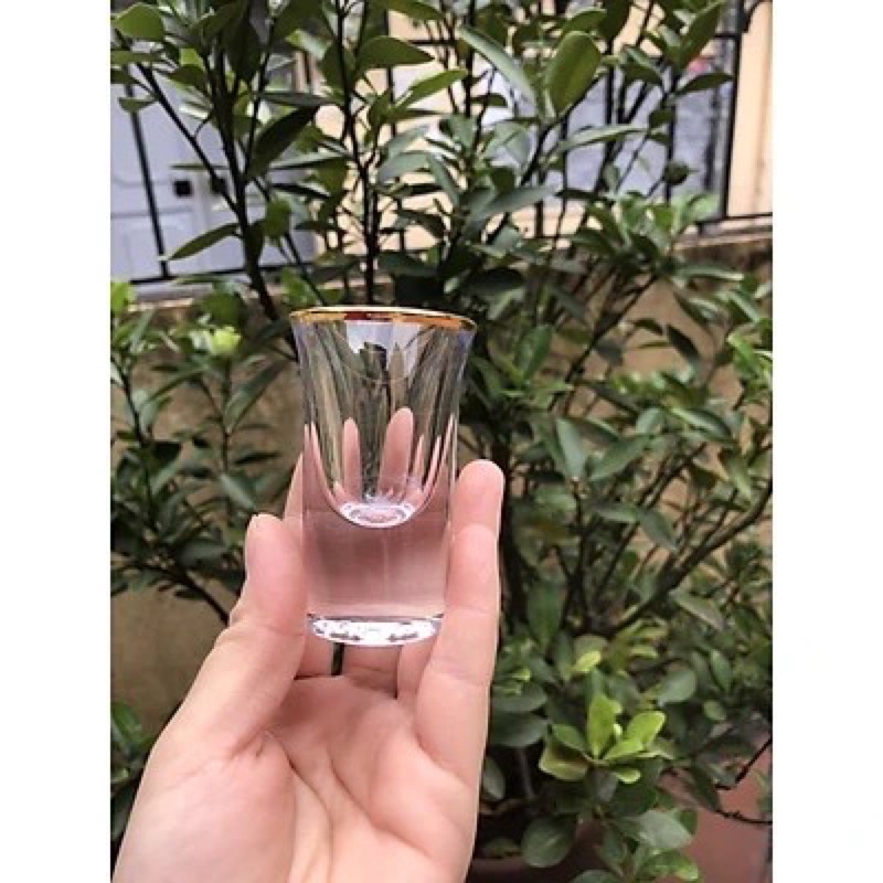 Bộ 6 ly uống rượu thuỷ tinh đế dầy viền vàng