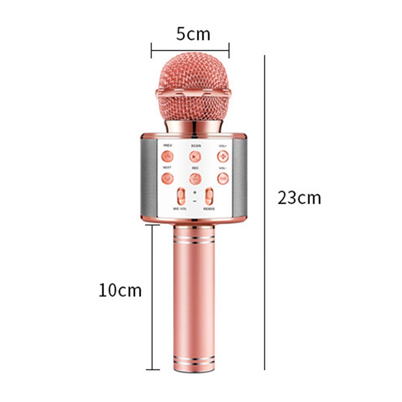 Micro Hát Karaoke Ws858