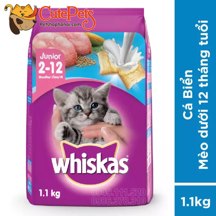Thức ăn cho mèo con Hạt Whiskas Junior 1.1kg - CutePets