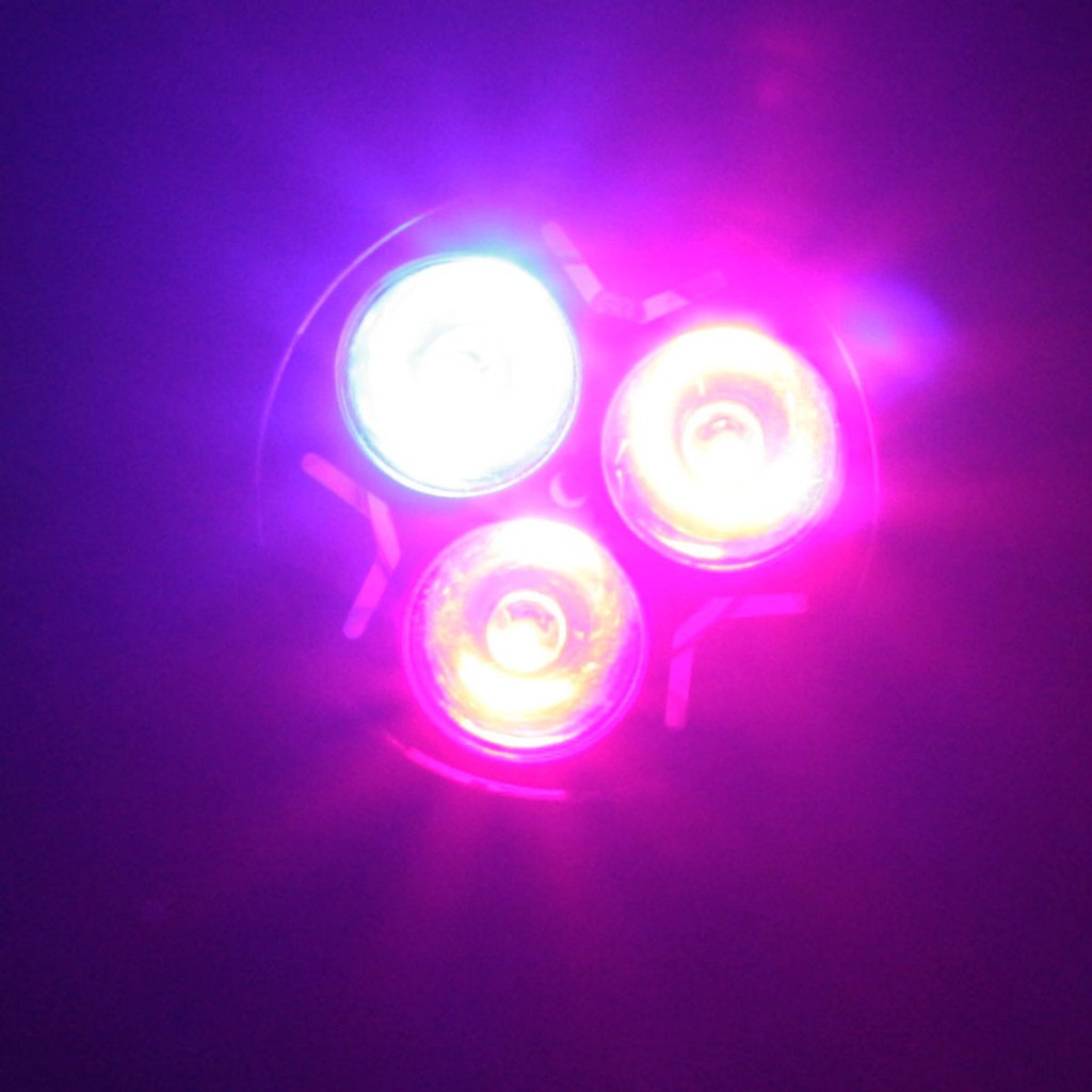 Bóng đèn Led quang hợp GIVASOLAR-ZW0001 6W