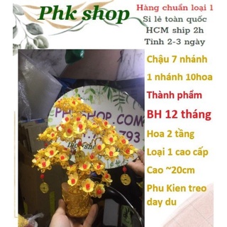 Chậu bonsai kim tiền hoa 2 tầng 20cm
